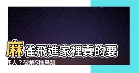 鳥飛入屋|【家裡飛進鳥】家裡飛進鳥，象徵吉凶？「最常聽見」的5大迷信。